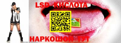 спайс Новозыбков