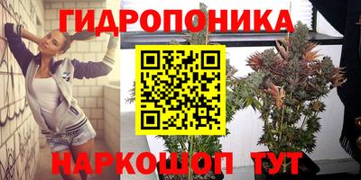 PSILOCYBIN Новокубанск