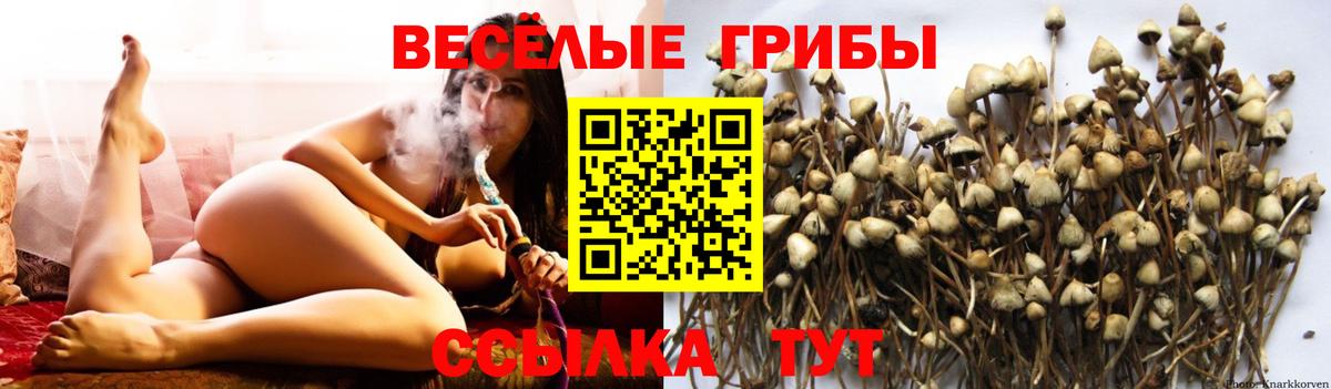 даркнет сайт  Вход с VPN  Пушкино  Галлюциногенные грибы MAGIC MUSHROOMS 